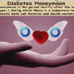 /img/2584-diabetes-honeymoon-phase-image-7.webp