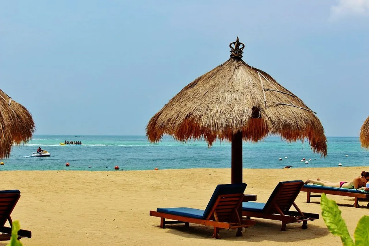 2586 surfing bali