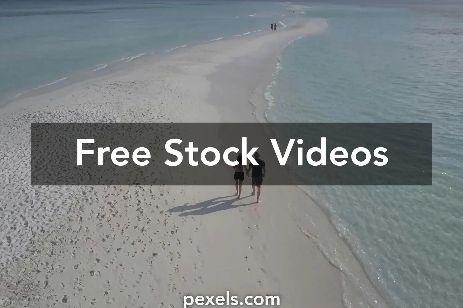 2592 honeymoon video sharing