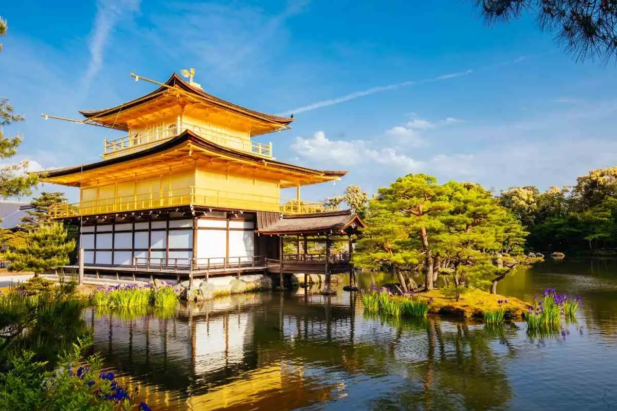 2611 traditional tea ceremony