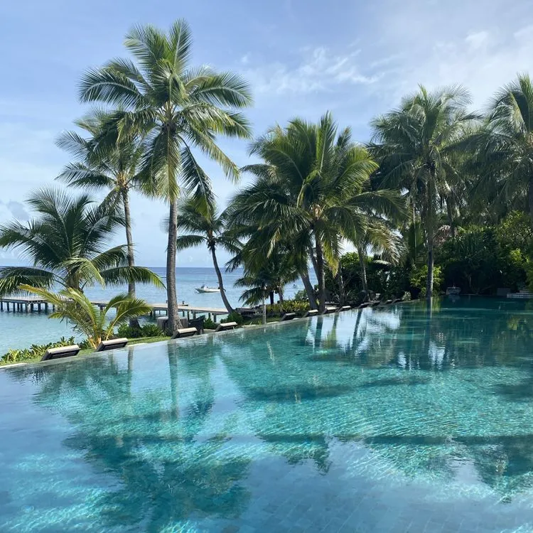 2623 fiji honeymoon resort couple