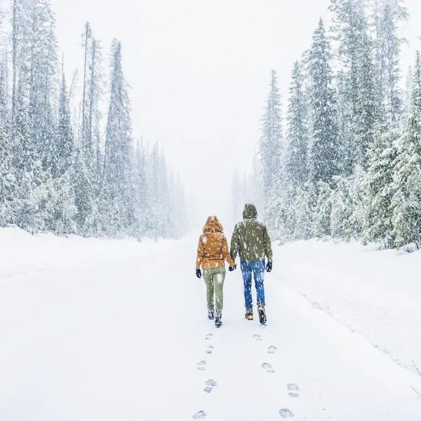 2626 winter activities
