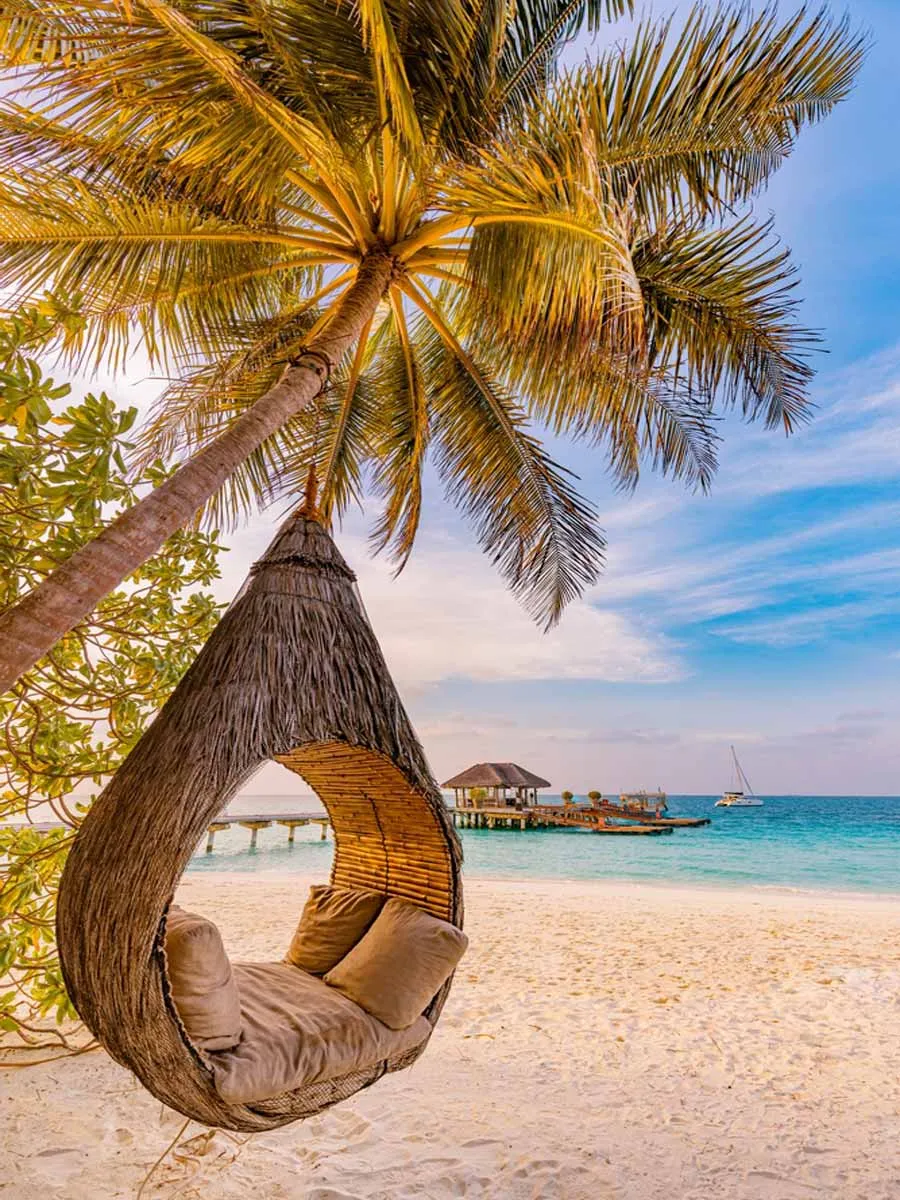 2628 bahamas honeymoon