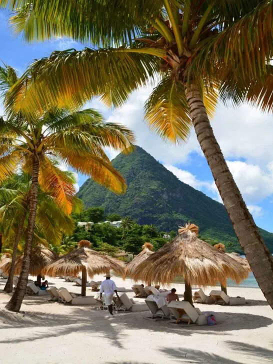 2628 barbados honeymoon