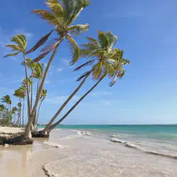 /img/2628-caribbean-resort.webp