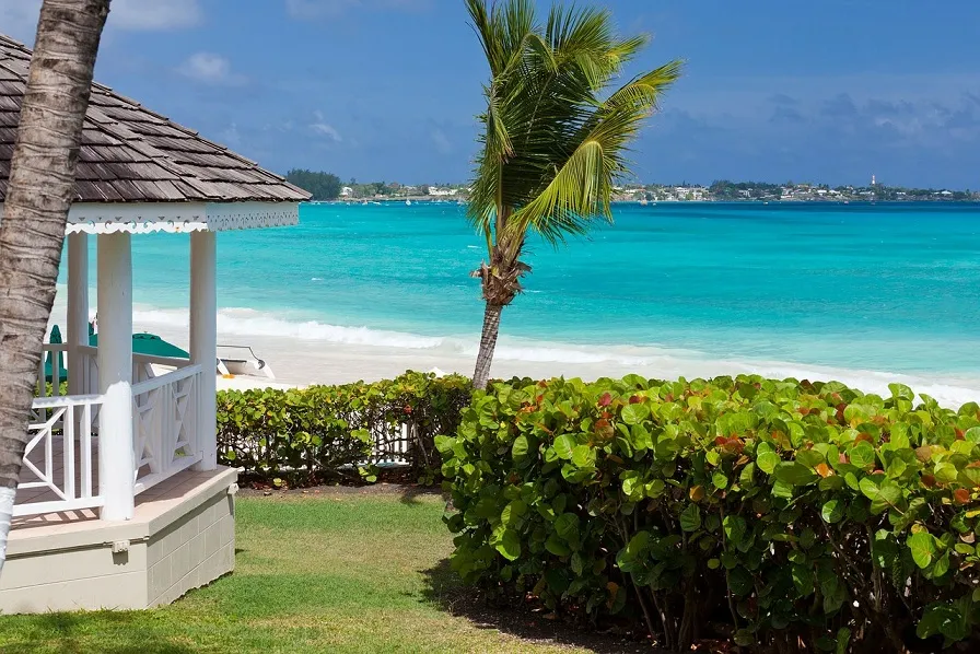 2628 st lucia honeymoon