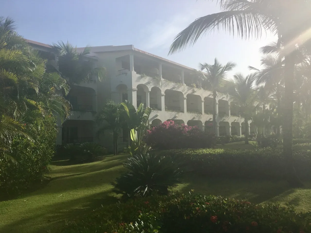 2629 live aqua punta cana