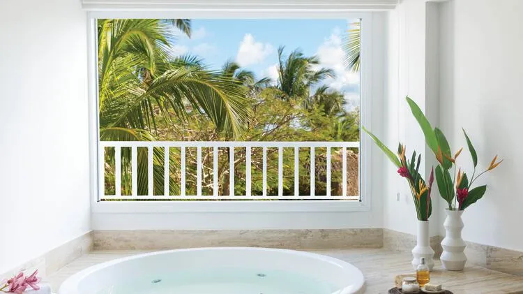 2629 sanctuary cap cana